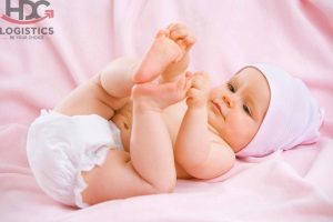 thu-tuc-nhap-khau-bim